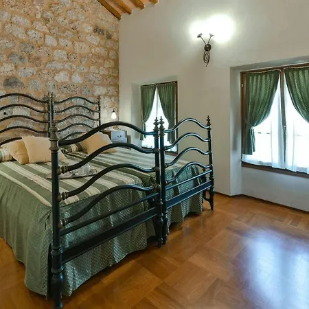 Treccianino 12 *